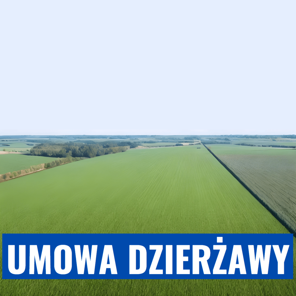 Umowa Dzierżawy Gruntu Wzór 1668